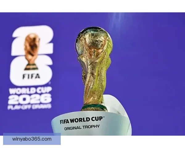 2026世界杯实时比分更新：各大赛场精彩对决，冠军之路逐渐明朗